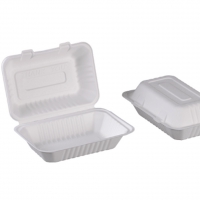 1-osaline suhkruroo toidukarp, 23 × 16 × 5 cm (pakendis 50 tk) - 2