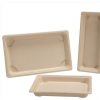 Suhkruroo sushi karp kaanega, 21,6 × 13,6 × 2 cm (pakendis 50 tk) - 4