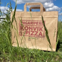 Paberist kott sangadega, 32 × 22 × 25 cm (pakendis 250 tk) - 2